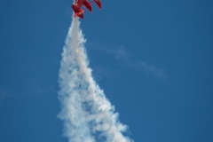 Pitts