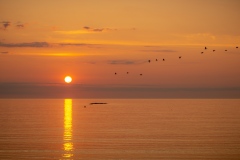 morning-walks-21