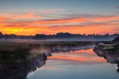 morning-walks-22