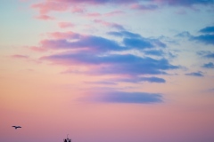 morning-walks-7